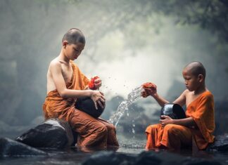 Ile kosztuje czyszczenie dywanów?