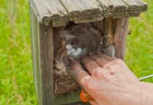 Jak zrobić skrzynkę na piwo? Jak zrobić skrzynkę na piwo?