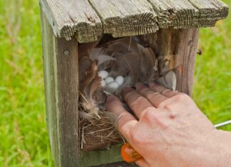 Jak zrobić skrzynkę na piwo?