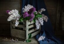 Kto jest właścicielem skrzynki pocztowej?