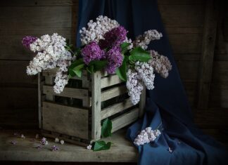 Kto jest właścicielem skrzynki pocztowej?