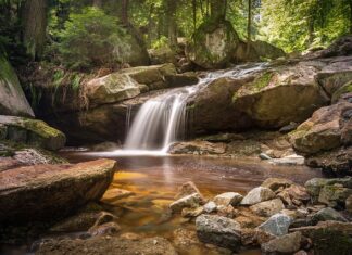 Co oznacza litera R na skrzynce na listy?