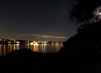 Po jakim czasie zakręcamy słoiki z miodem?